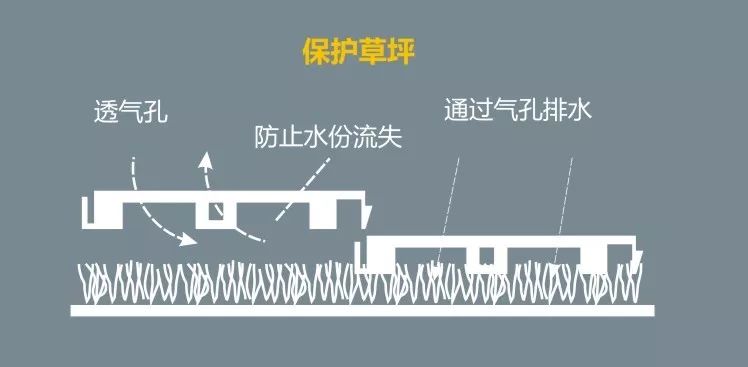 香港正版四不像图