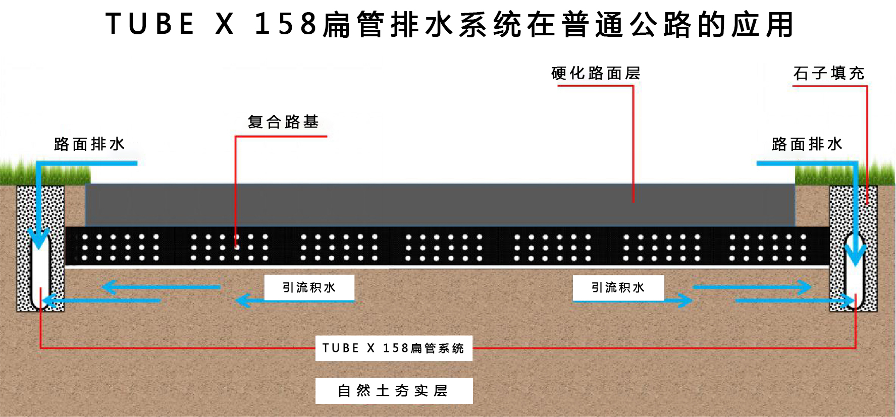 香港正版四不像图