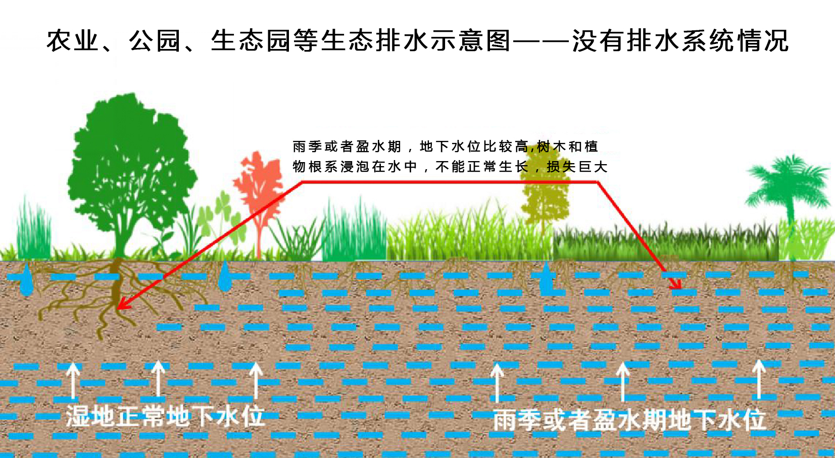 香港正版四不像图