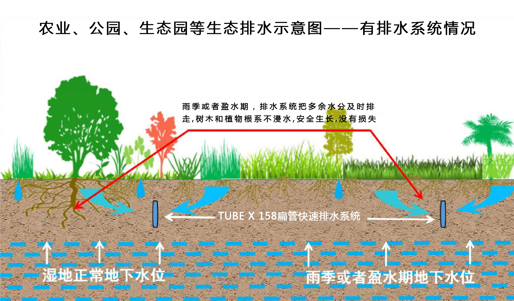 香港正版四不像图