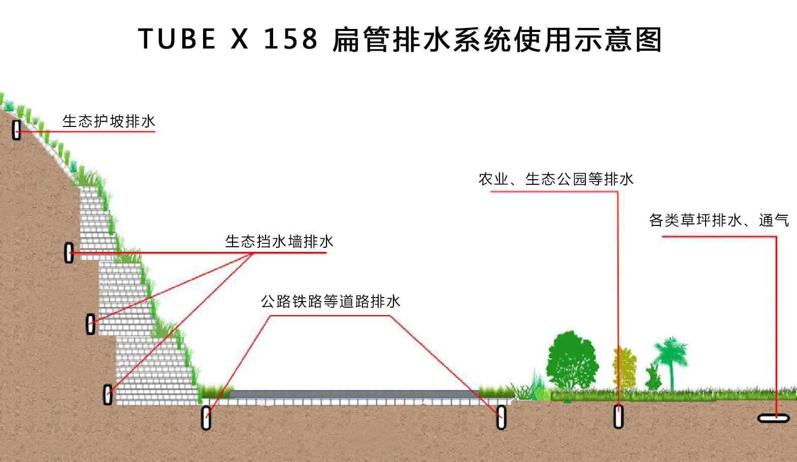 香港正版四不像图